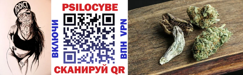 купить закладку  Северобайкальск  shop официальный сайт  Псилоцибиновые грибы прущие грибы 